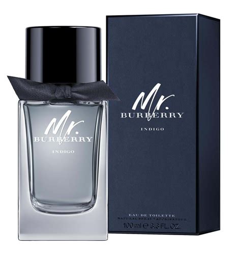 mr.burberry cologne